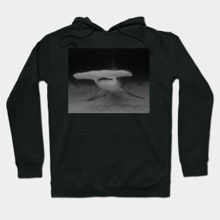 Great Hammerhead Teeth Hoodie